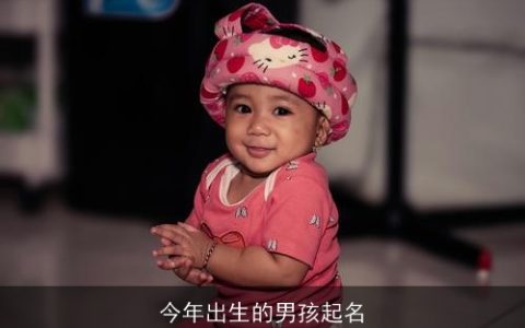 今年出生的男孩起名