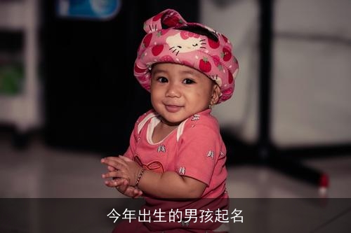 今年出生的男孩起名
