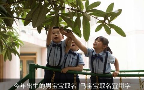 今年出生的男宝宝取名 马宝宝取名宜用字