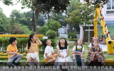 今年壬寅年生的路姓男孩如何取名 路姓男孩起名打分高分的名字