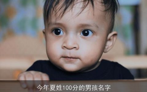 今年夏姓100分的男孩名字