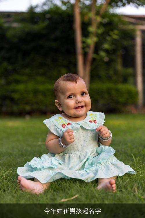 今年姓崔男孩起名字