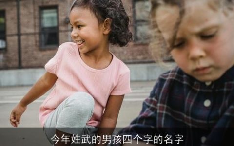 今年姓武的男孩四个字的名字