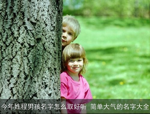 今年姓程男孩名字怎么取好听 简单大气的名字大全