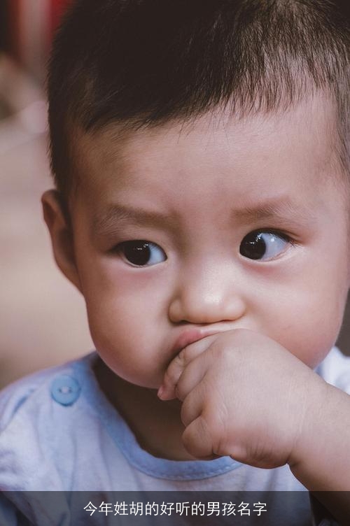 今年姓胡的好听的男孩名字