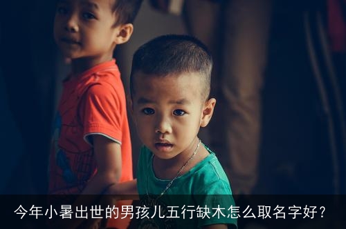 今年小暑出世的男孩儿五行缺木怎么取名字好？