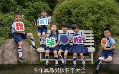 今年属马男孩名字大全
