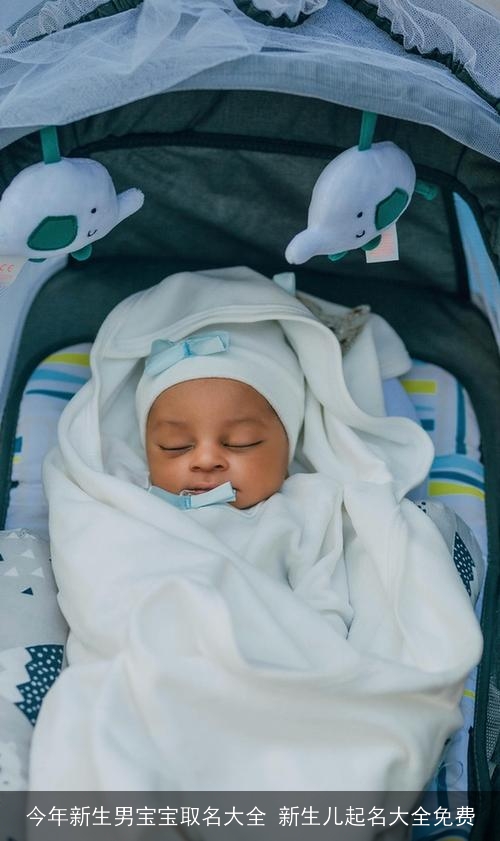 今年新生男宝宝取名大全 新生儿起名大全免费