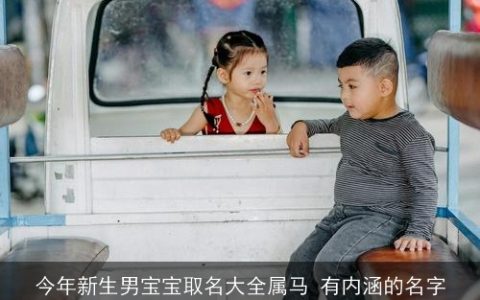 今年新生男宝宝取名大全属马 有内涵的名字