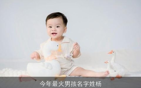 今年最火男孩名字姓杨