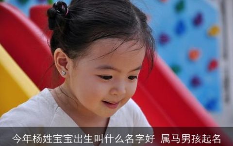 今年杨姓宝宝出生叫什么名字好 属马男孩起名