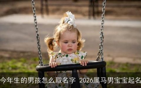今年生的男孩怎么取名字 2026属马男宝宝起名