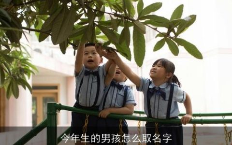 今年生的男孩怎么取名字