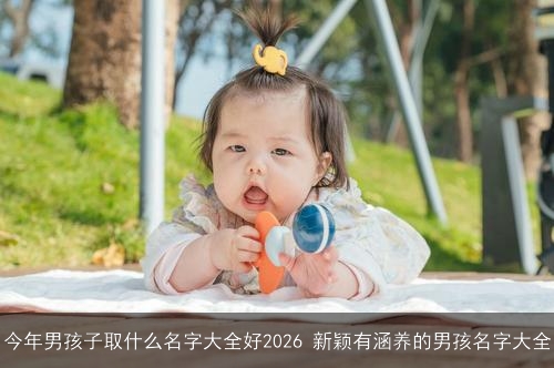 今年男孩子取什么名字大全好2026 新颖有涵养的男孩名字大全