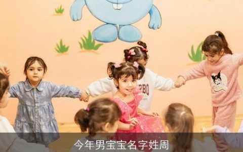 今年男宝宝名字姓周