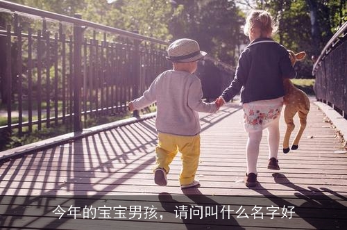 今年的宝宝男孩，请问叫什么名字好