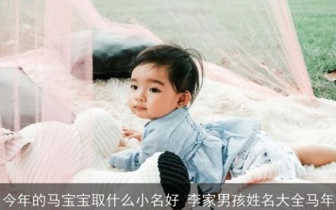 今年的马宝宝取什么小名好 李家男孩姓名大全马年