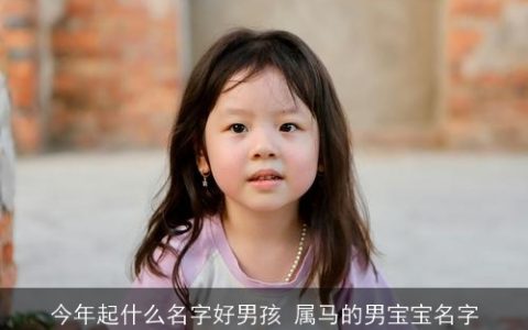 今年起什么名字好男孩 属马的男宝宝名字