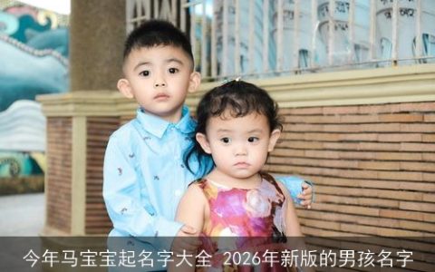 今年马宝宝起名字大全 2026年新版的男孩名字