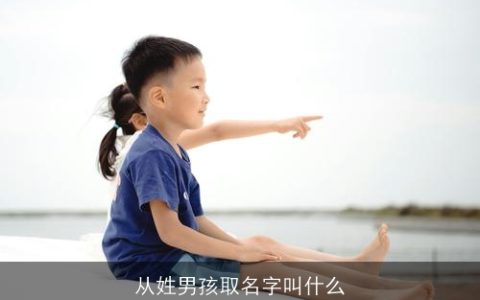 从姓男孩取名字叫什么