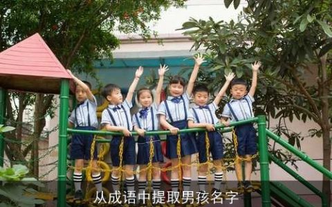 从成语中提取男孩名字