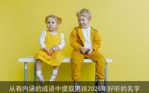 从有内涵的成语中提取男孩2026年好听的名字