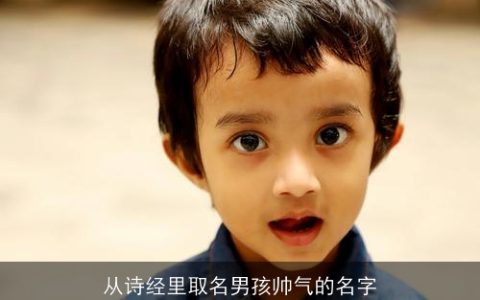 从诗经里取名男孩帅气的名字