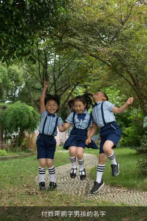 付姓带鹏字男孩的名字
