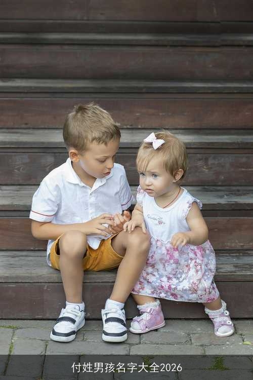 付姓男孩名字大全2026