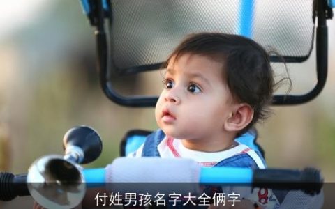 付姓男孩名字大全俩字