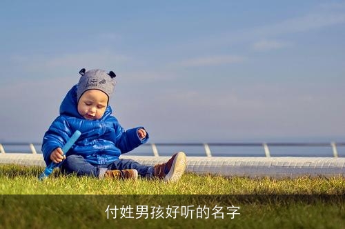 付姓男孩好听的名字