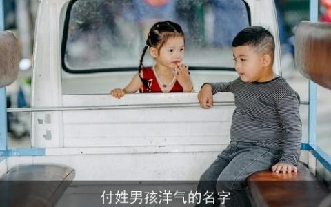付姓男孩洋气的名字