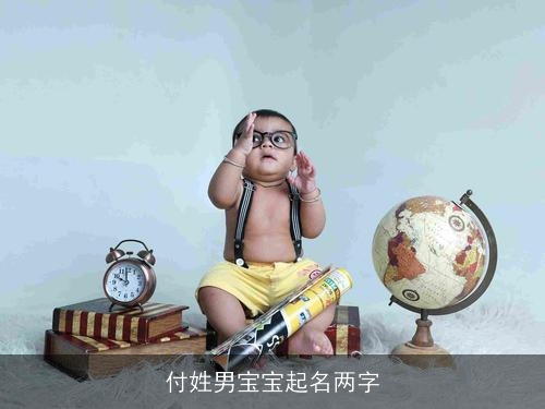 付姓男宝宝起名两字