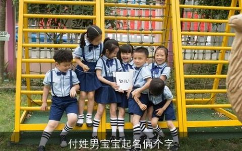 付姓男宝宝起名俩个字