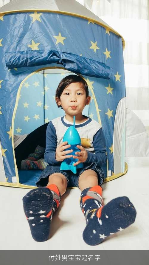 付姓男宝宝起名字
