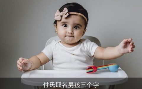 付氏取名男孩三个字