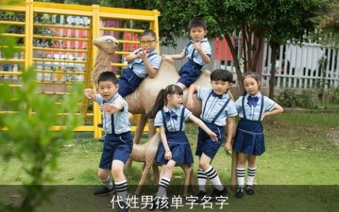代姓男孩单字名字
