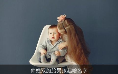 仲姓双胞胎男孩起啥名字