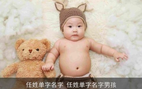任姓单字名字 任姓单字名字男孩