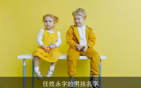 任姓永字的男孩名字