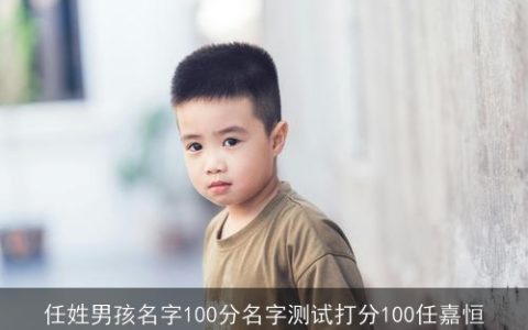 任姓男孩名字100分名字测试打分100任嘉恒