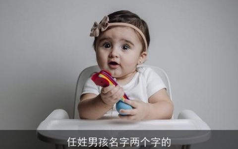 任姓男孩名字两个字的