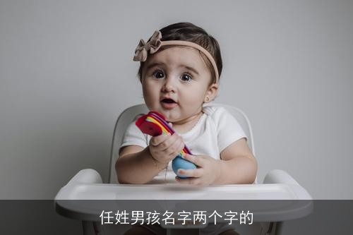 任姓男孩名字两个字的