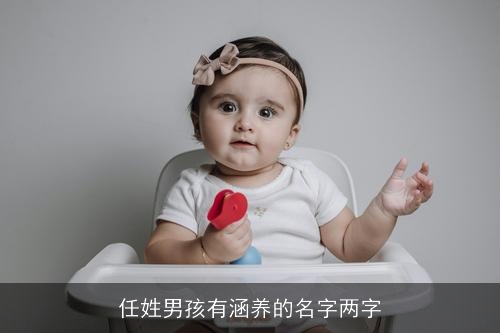 任姓男孩有涵养的名字两字