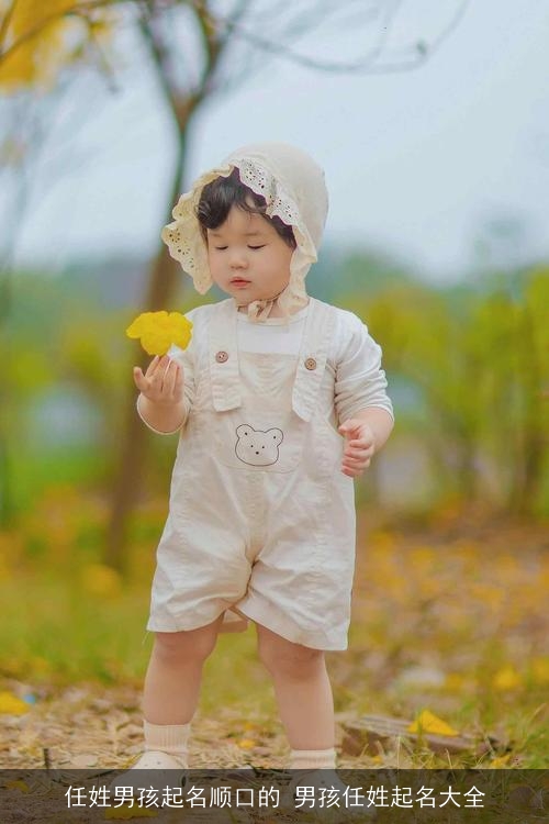 任姓男孩起名顺口的 男孩任姓起名大全