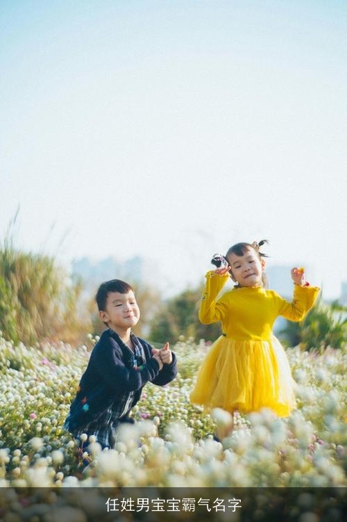 任姓男宝宝霸气名字