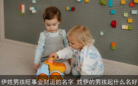 伊姓男孩旺事业财运的名字 姓伊的男孩起什么名好