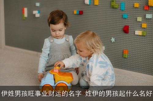 伊姓男孩旺事业财运的名字 姓伊的男孩起什么名好