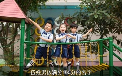 伍姓男孩满分100分的名字