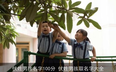 伏姓男孩名字100分 伏姓男孩取名字大全